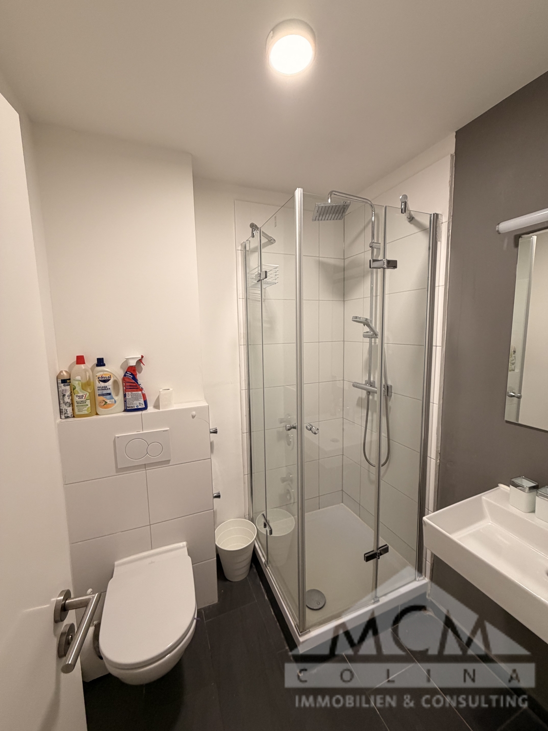 Modernes Tageslichtbad